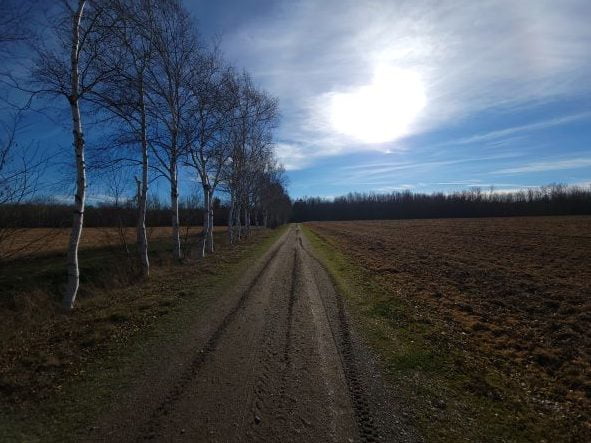 The Road To Mental Wellness - 2022 - A dirt road next to a farmer's field in fall